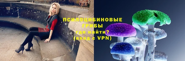 дурь Арсеньев