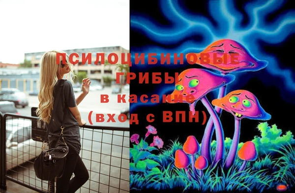 твердый Армянск