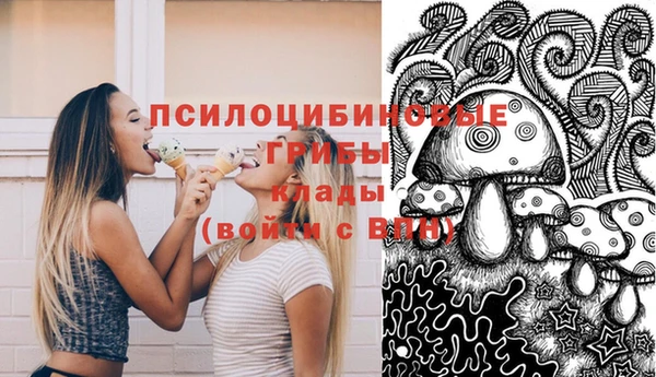 твердый Армянск