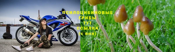 СК Аркадак