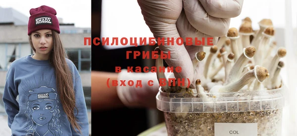 твердый Армянск