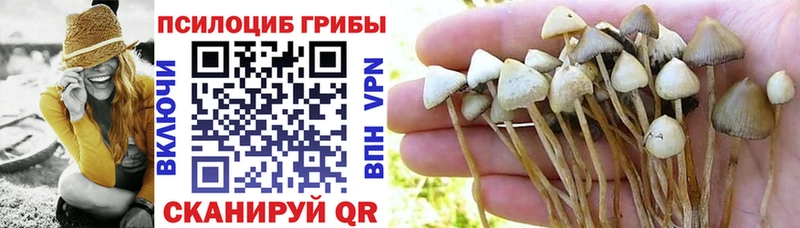 Галлюциногенные грибы Magic Shrooms Ртищево